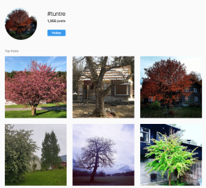 Screen Shot 2019-05-18 at 8.40.06